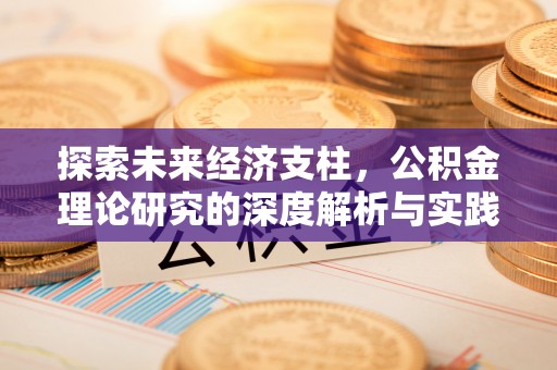 嘉定探索未来经济支柱，公积金理论研究的深度解析与实践意义