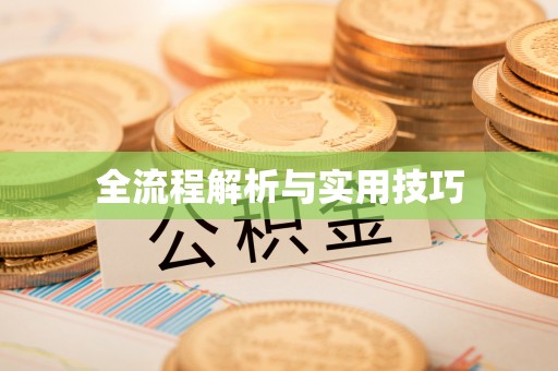 嘉定全流程解析与实用技巧