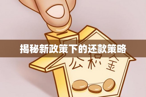 嘉定揭秘新政策下的还款策略