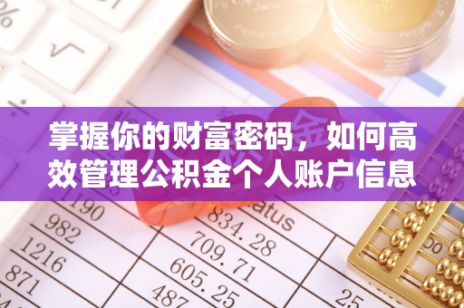 嘉定掌握你的财富密码，如何高效管理公积金个人账户信息