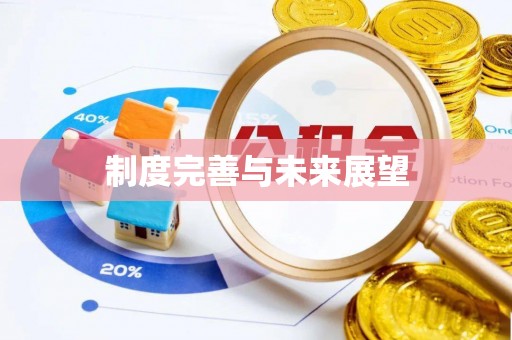 嘉定制度完善与未来展望