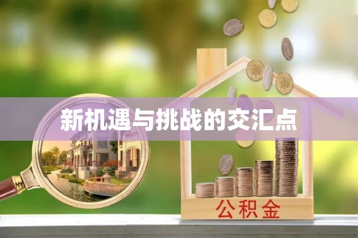 嘉定新机遇与挑战的交汇点