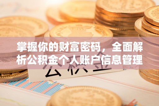 嘉定掌握你的财富密码，全面解析公积金个人账户信息管理与优化