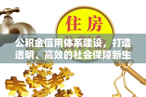 嘉定公积金信用体系建设，打造透明、高效的社会保障新生态