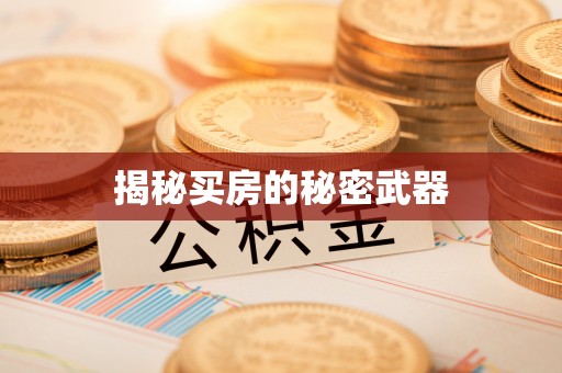 嘉定揭秘买房的秘密武器