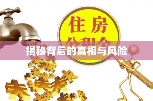 嘉定揭秘背后的真相与风险