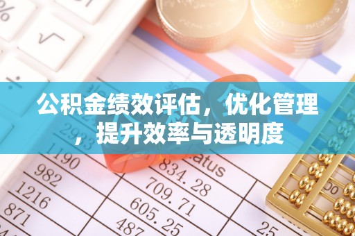 嘉定公积金绩效评估，优化管理，提升效率与透明度