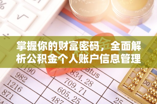 嘉定掌握你的财富密码，全面解析公积金个人账户信息管理