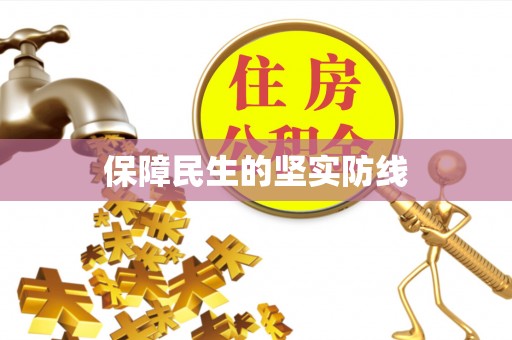 嘉定保障民生的坚实防线