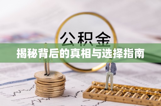 嘉定揭秘背后的真相与选择指南