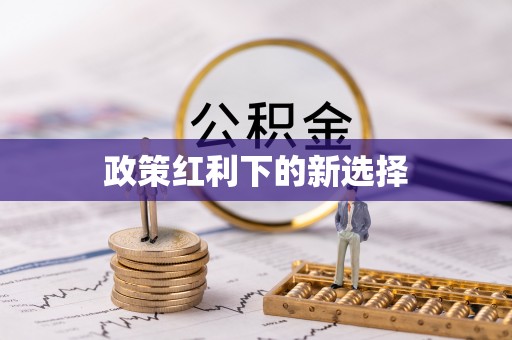 嘉定政策红利下的新选择