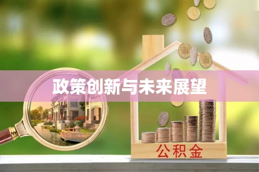 嘉定政策创新与未来展望