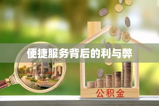 嘉定便捷服务背后的利与弊